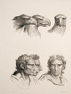 [Illustration of physiognomic resemblance between a Man and an Eagle]