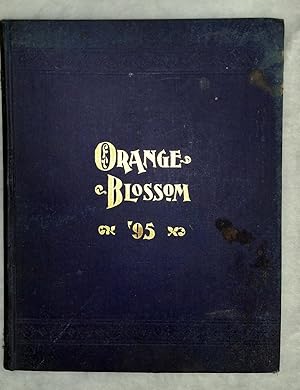 The Orange Blossom ['95]