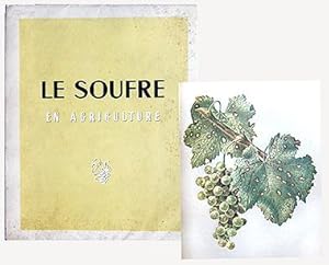 LE SOUFRE EN AGRICULTURE. Etude sur l'utilisation du soufre en viticulture, arboriculture fruitiè...