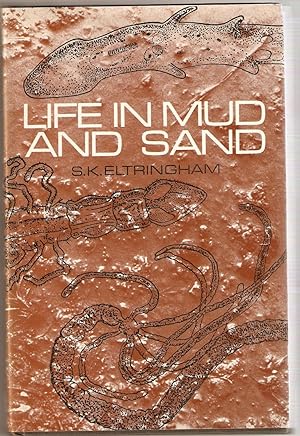 Life in Mud and Sand