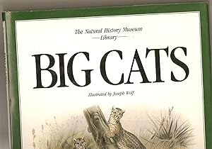 The Natural History Museum.Big Cats : A Selection of Magnificent Illustrations by Joseph Wolf Fir...