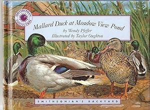 Mallard Duck at Mountain View Pond. Smithsonian's Backyard.