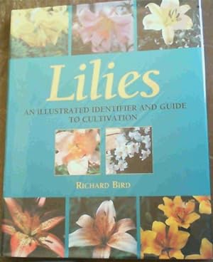 Lilies; An Illustrated Identifier &amp; Guide To Cultivation