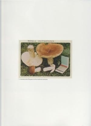 THE MUSHROOM COLLECTOR - SIGNED BY JASON FULFORD