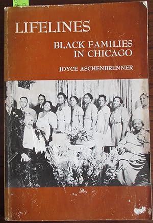 Lifelines: Black Families in Chicago (Case Studies in Cultural Anthropology)