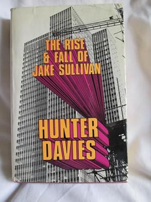 The Rise and fall of Jake Sullivan