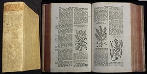 Theatrum botanicum, Das ist: Vollkommenes Kräuter-Buch, Worinnen Allerhand Erdgewächse, Bäume, St...