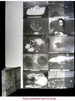 Dowry Book (SIGNED by Kiki Smith: with special inserted signed Limited Ed. Print)