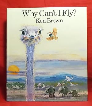 Why Can't I Fly?