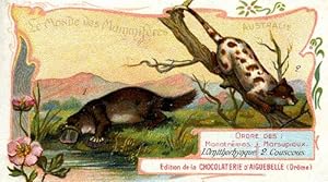 Le Monde des Mammiferes, Australie. (Platypus and Spotted Cuscus)