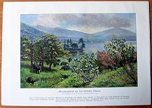 Antique Chromolithograph. Prehistoric Miocene Animals, Landscape.