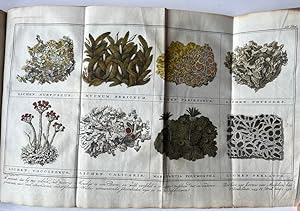Natural History 1779 I Katechismus der Natuur. Amsterdam, Johannes Allart, 1778-1779. [4 volumes ...