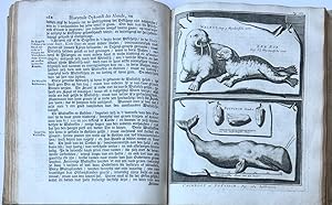 [Fishing, Greenland 1720] Bloeyende opkomst der aloude en hedendaagsche Groenlandsche visschery (...