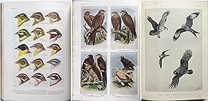 The Handbook of British Birds 5 Vol. Set