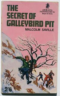 The Secret of the Galleybird Pit #2 in the Brown Family series