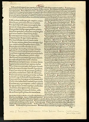 Puncia [incunabula leaf from the 1493 edition]