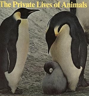THE PRIVATE LIVES OF ANIMALS (Chanticleer Press Edition Designed By Massimo Vignelli & Gudrum Bue...
