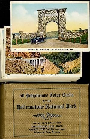 Set of 50 Polychrome Color Cards of the Yellowstone National Park