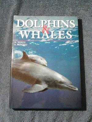 Dolphins & whales