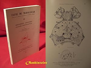 FAUNE DE MADAGASCAR N°38 ( XXXVIII ) : Arachnides Araignées - Araneidae Gasteracanthinae --------...