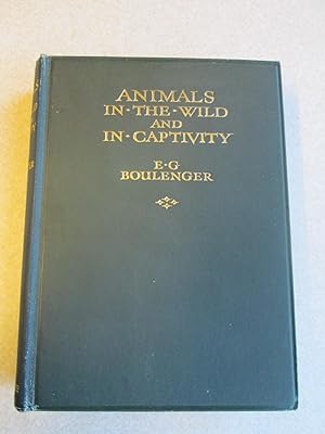 Animals In The Wild And In Captivity