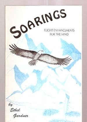 Soarings: Flight Enhancements for the Mind