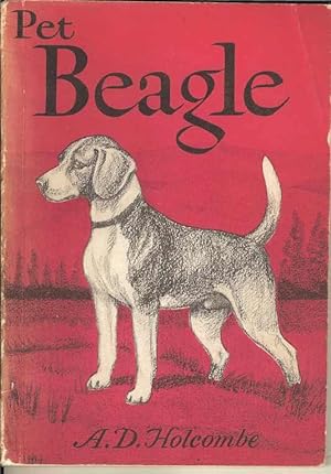 Pet Beagle