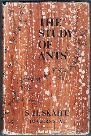 The Study Of Ants