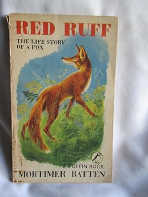 Red Ruff , the story of a fox