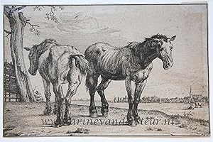 [Antique print, etching] T. Lundh (?) after P. Potter, The Plough Horses, 1896, 1 p.