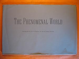 The Phenomenal World
