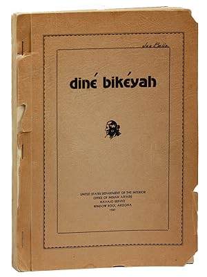 Diné Bikéyah (The Navajo's Country)