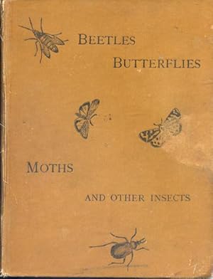 Beetles, Butterflies, Moths and Other Insects