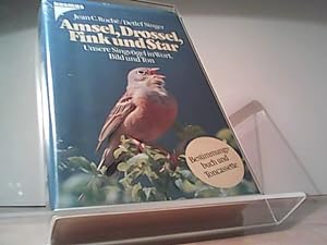 Amsel, Drossel, Fink und Star. Bestimmungsbuch und Cassette. Unsere Singvögel in Wort, Bild und Ton