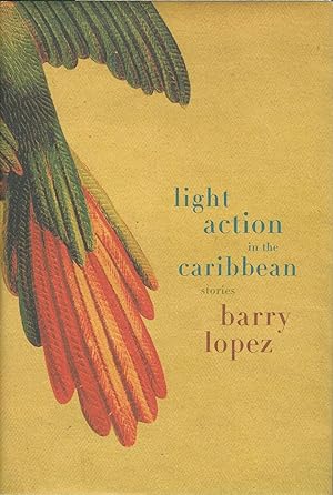 Light, Action in the Caribbean Stories
