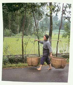 [Woman With Baskets].
