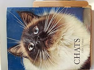 Chats. 175 photographies