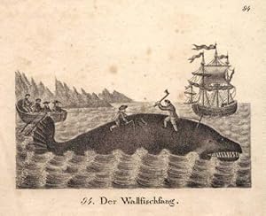 Der Wallfischfang. Lithographie aus : Neue Bildergallerie für die Jugend.