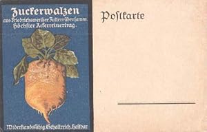 aus Friedrichswerther Futterrübensamen. Höchster Ackerreinertrag. Farbige Postkarte. Ungelaufen.