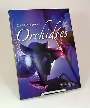 Orchidées.