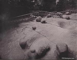 Gletschergarten, Luzern. Schweiz. Original - Fotografien, braungetönter Albuminabzug