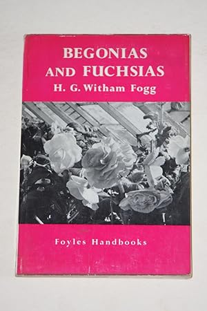 Begonias And Fuchsias