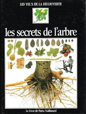 Les Secrets de L'arbre . Complet De Son Poster