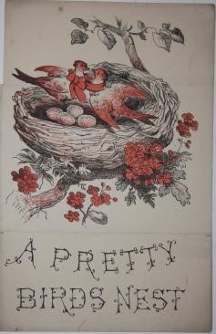[Metamorphic Card] A Pretty Bird's Nest
