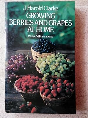 Growing Berries and Grapes at Home