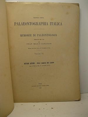 Estratto dalla Palaeontographia italica. Memorie di paleontologia pubblicate per cura del prof. M...
