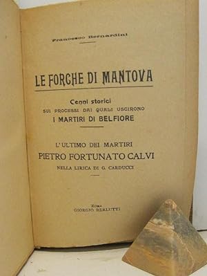 Le forche di Mantova. Cenni storici sui processi dai quali uscirono i martiri di Belfiore. L'ulti...