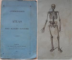 Anthropologie. - Atlas de vingt planches d'anatomie.