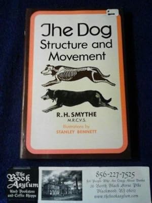 The dog; structure and movement,