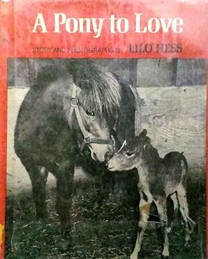 A Pony to Love